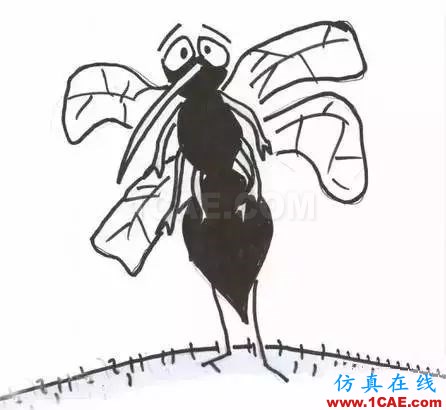 為什么蚊子永遠(yuǎn)不會(huì)被雨砸死？千萬別被孩子問住了！fluent圖片17