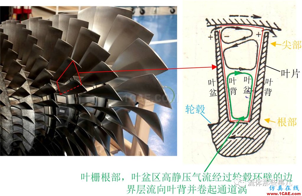 萬里長江，險在荊江：荊江為何如此蜿蜒曲折？【轉發】fluent結果圖片9