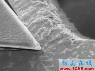 各種機(jī)械工藝在慢鏡頭下的寫真，竟然看哭了機(jī)械設(shè)計(jì)案例圖片7