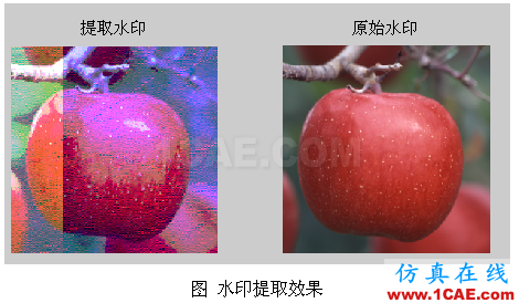 代做畢業設計-MATLAB的條碼、車牌、指紋、圖像識別-QQ572426200