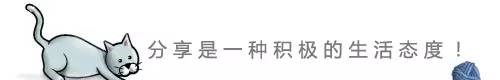 貓抓毛線球引導(dǎo)分享 美國單兵雷達概述HFSS分析圖片14