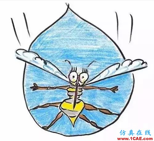 為什么蚊子永遠(yuǎn)不會(huì)被雨砸死？千萬別被孩子問住了！fluent流體分析圖片12